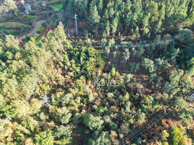 Terreno para Venda em Fornos Foto 5