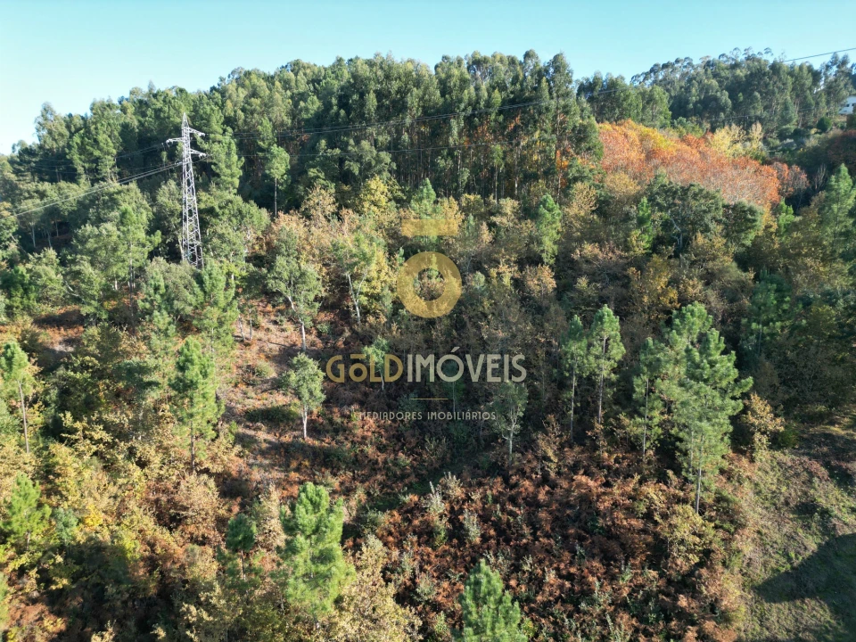 Terreno para Venda em Fornos Foto 3