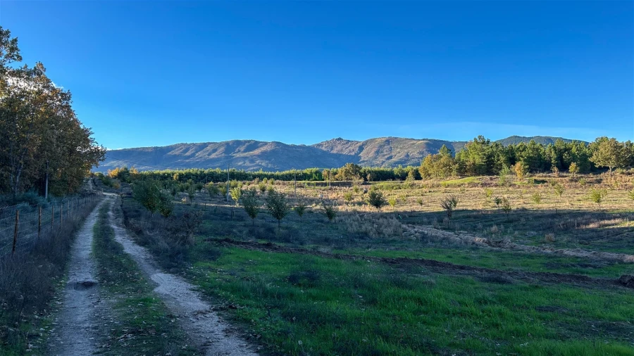 Quinta T0 para Venda em Teixoso e Sarzedo Foto 57