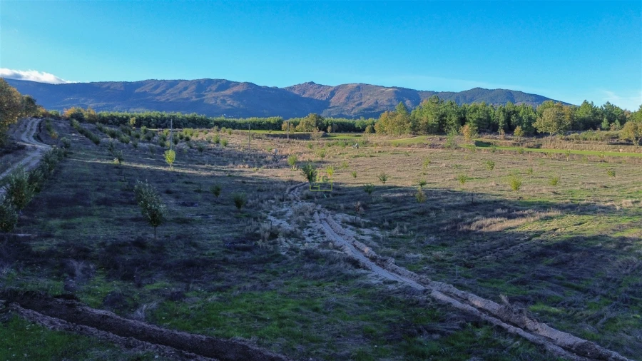 Quinta T0 para Venda em Teixoso e Sarzedo Foto 28
