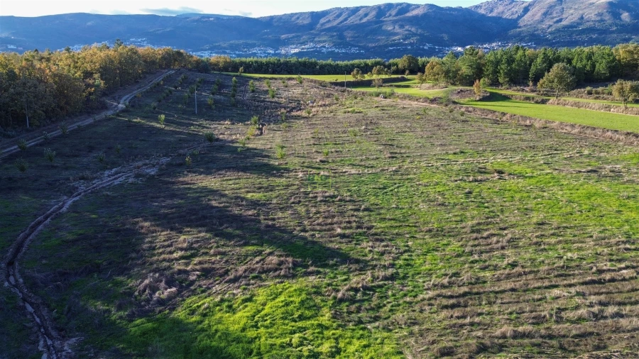 Quinta T0 para Venda em Teixoso e Sarzedo Foto 22