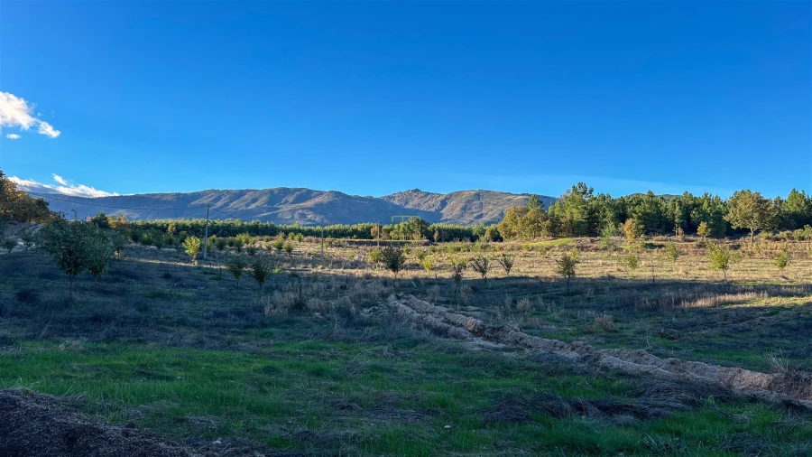 Quinta T0 para Venda em Teixoso e Sarzedo Foto 55