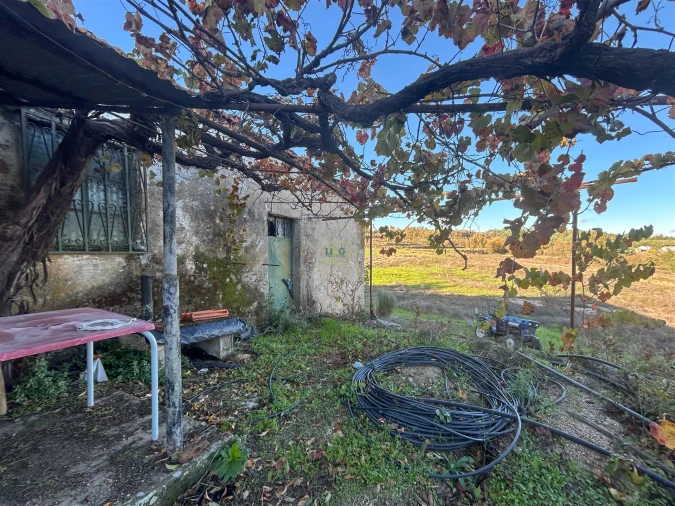 Quinta T0 para Venda em Teixoso e Sarzedo Foto 47