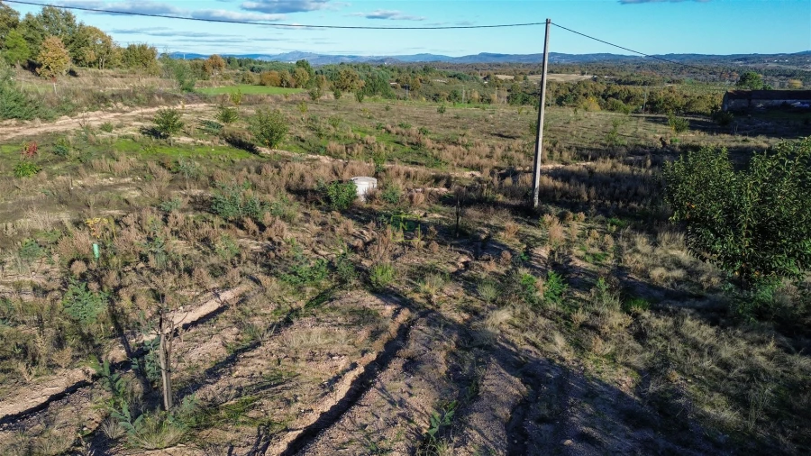 Quinta T0 para Venda em Teixoso e Sarzedo Foto 18