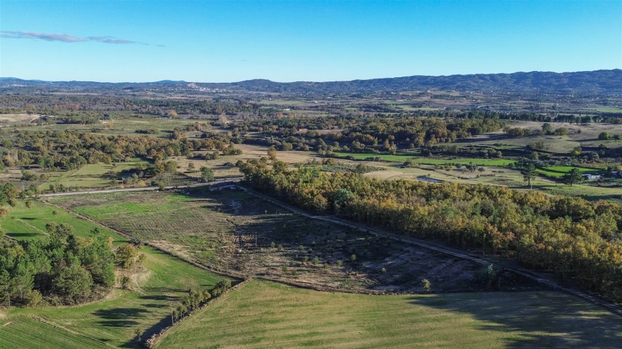 Quinta T0 para Venda em Teixoso e Sarzedo Foto 15