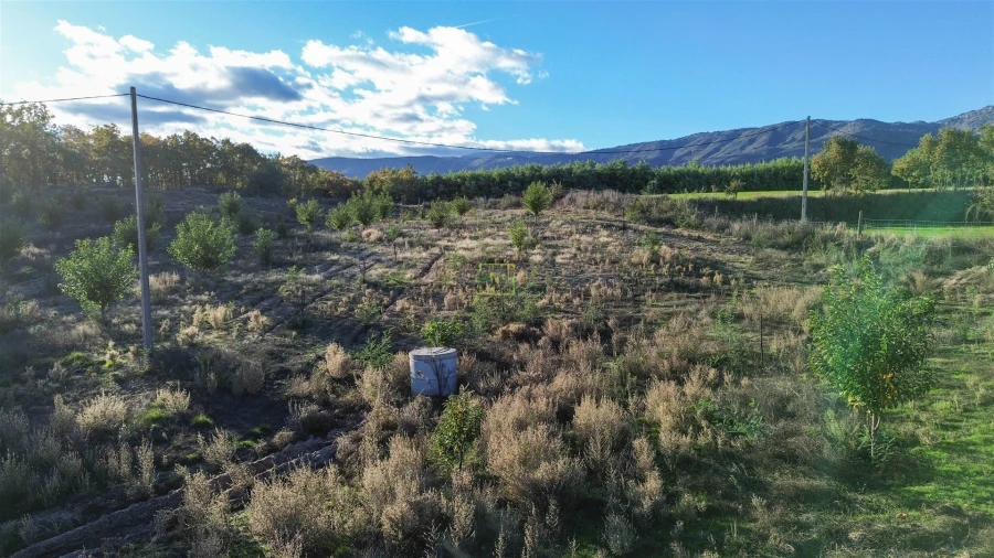 Quinta T0 para Venda em Teixoso e Sarzedo Foto 27