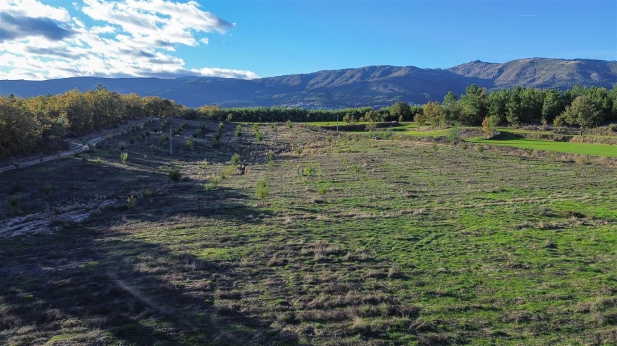Quinta T0 para Venda em Teixoso e Sarzedo Foto 23