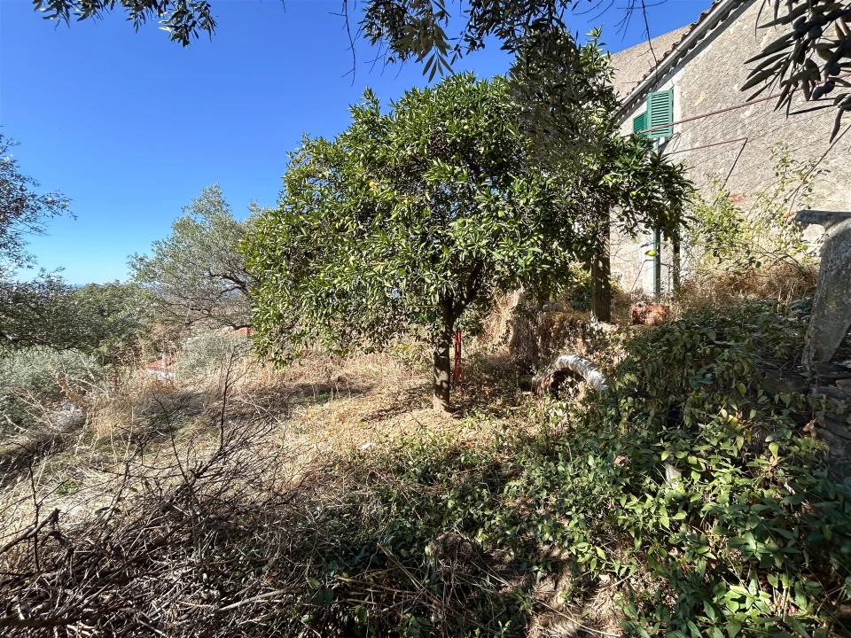 Moradia T2 para Venda em Penha Garcia Foto 55