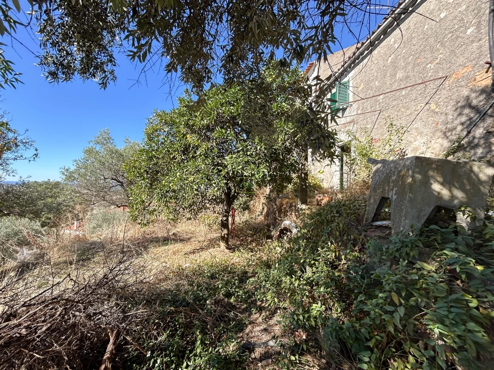 Moradia T2 para Venda em Penha Garcia Foto 54