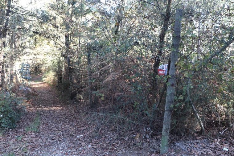 Terreno para Venda em Sousela Foto 9