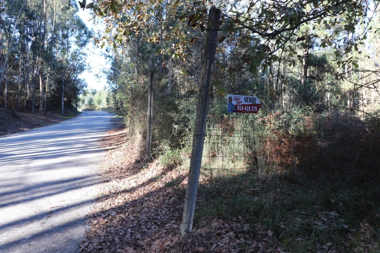 Terreno para Venda em Sousela Foto 3