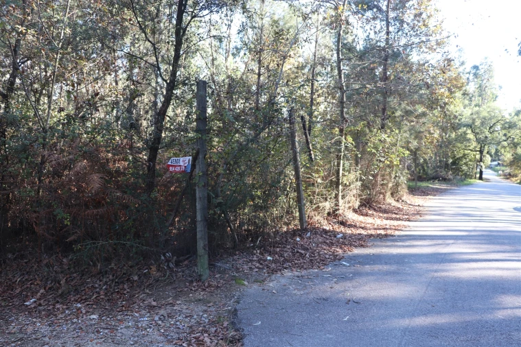 Terreno para Venda em Sousela Foto 8