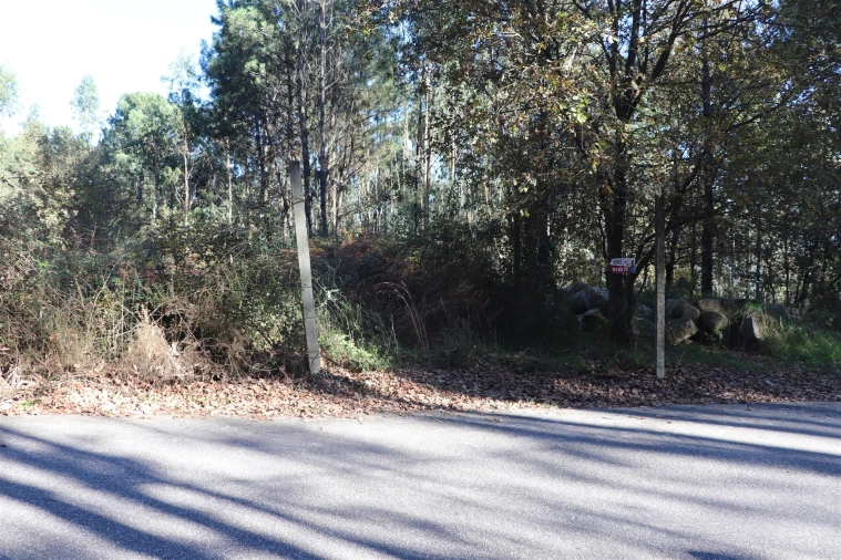 Terreno para Venda em Sousela