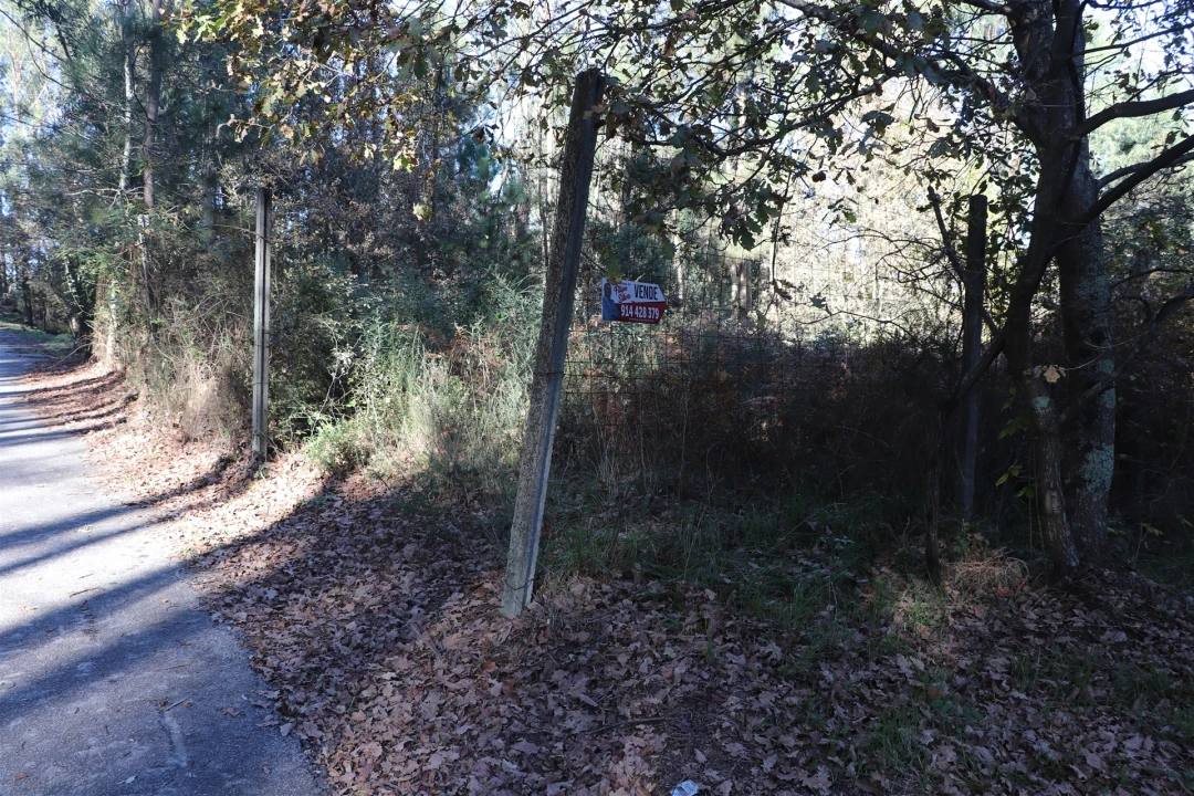Terreno para Venda em Sousela Foto 2