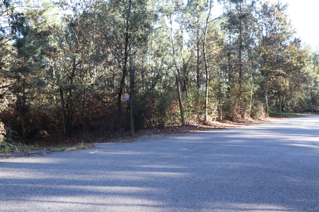 Terreno para Venda em Sousela Foto 7