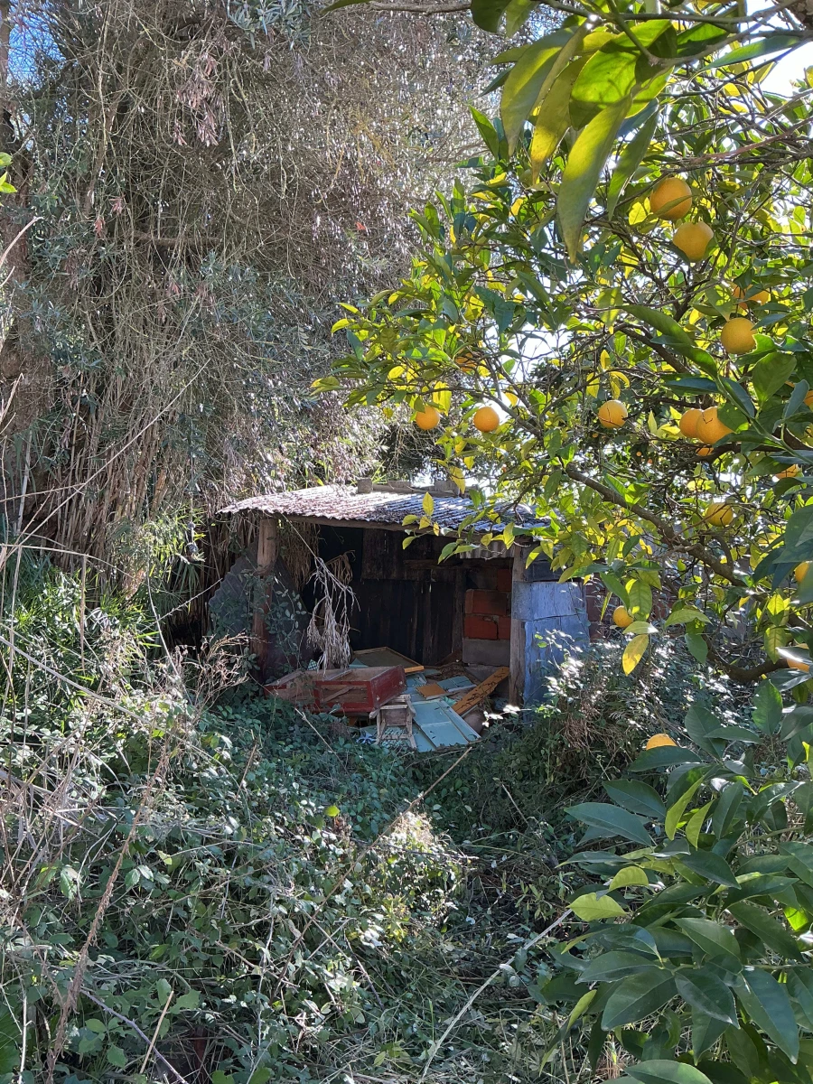 Moradia T3 para Venda em Coruche, Fajarda e Erra Foto 20