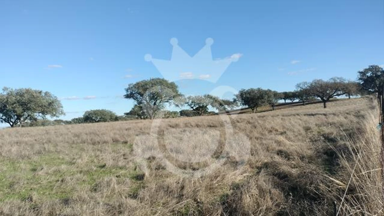 Terreno para Venda em Nossa Senhora da Conceição, São Brás dos Matos, Juromenha Foto 12