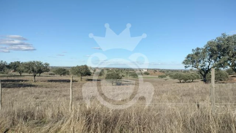 Terreno para Venda em Nossa Senhora da Conceição, São Brás dos Matos, Juromenha Foto 2