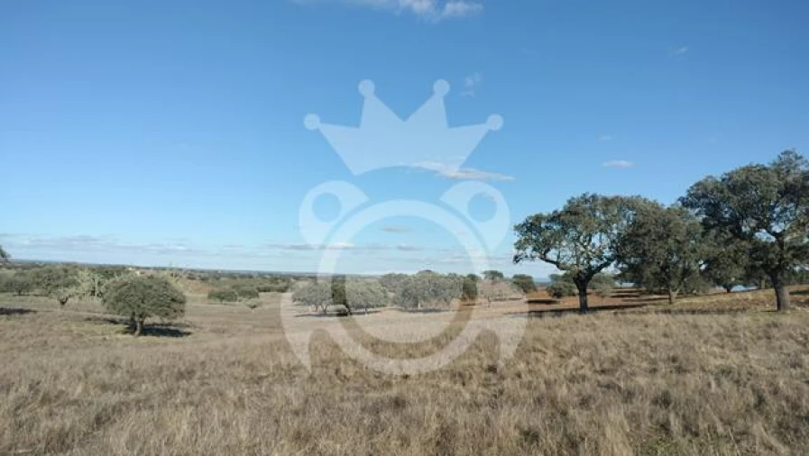 Terreno para Venda em Nossa Senhora da Conceição, São Brás dos Matos, Juromenha Foto 6