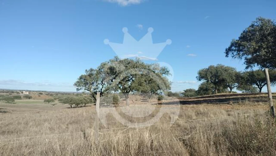 Terreno para Venda em Nossa Senhora da Conceição, São Brás dos Matos, Juromenha Foto 1
