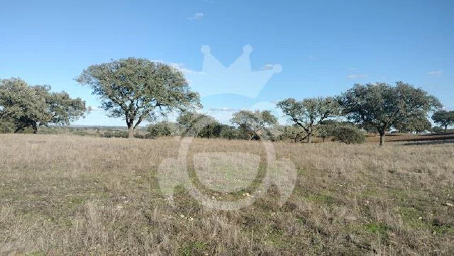 Terreno para Venda em Nossa Senhora da Conceição, São Brás dos Matos, Juromenha Foto 9