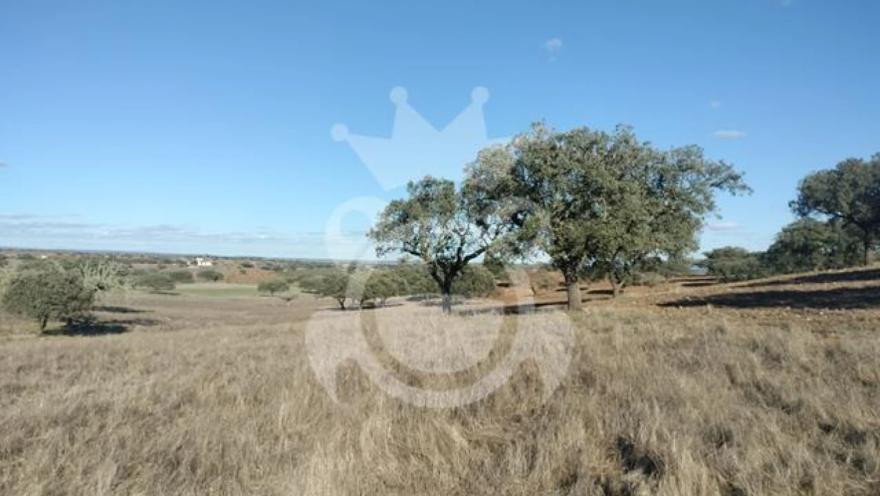 Terreno para Venda em Nossa Senhora da Conceição, São Brás dos Matos, Juromenha Foto 4