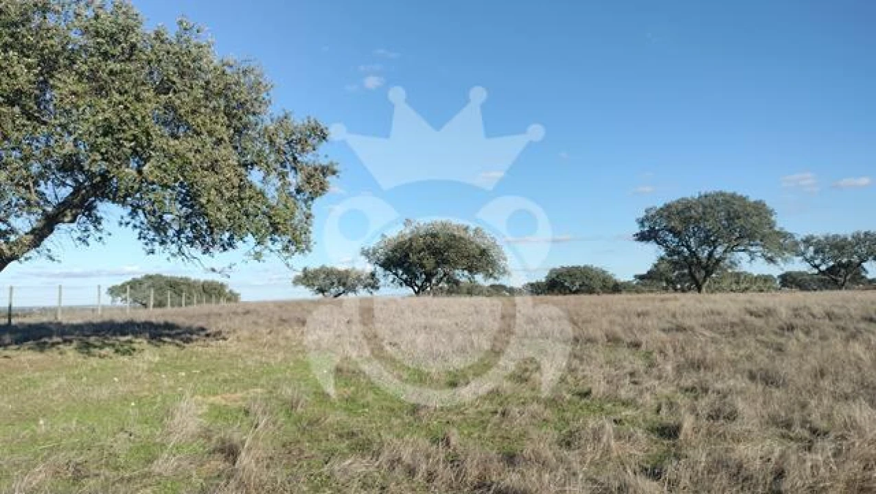 Terreno para Venda em Nossa Senhora da Conceição, São Brás dos Matos, Juromenha Foto 11