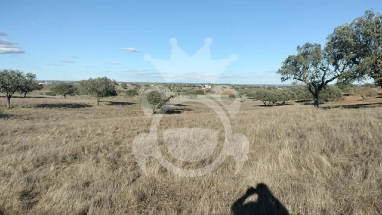 Terreno para Venda em Nossa Senhora da Conceição, São Brás dos Matos, Juromenha Foto 5