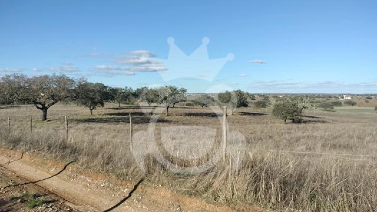 Terreno para Venda em Nossa Senhora da Conceição, São Brás dos Matos, Juromenha Foto 3