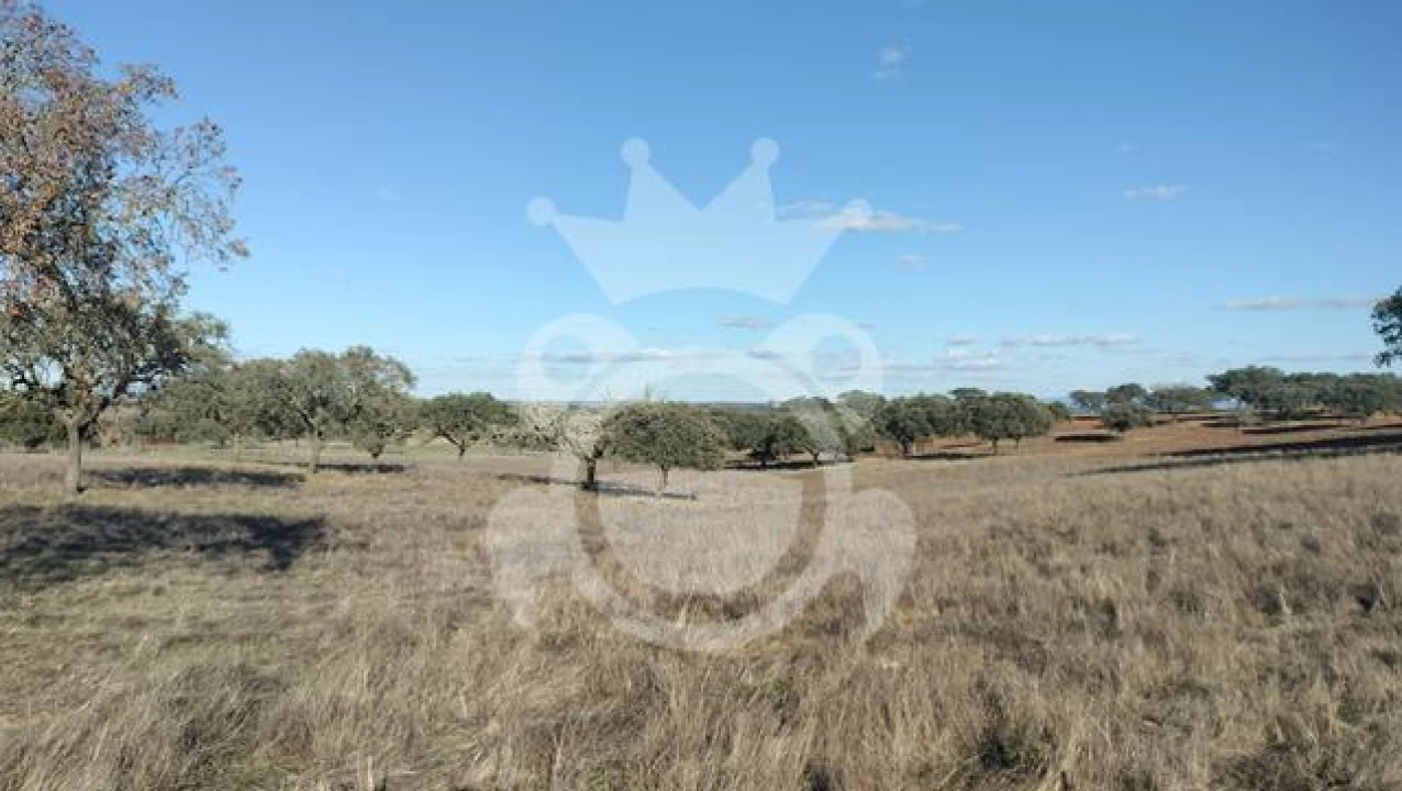 Terreno para Venda em Nossa Senhora da Conceição, São Brás dos Matos, Juromenha Foto 7