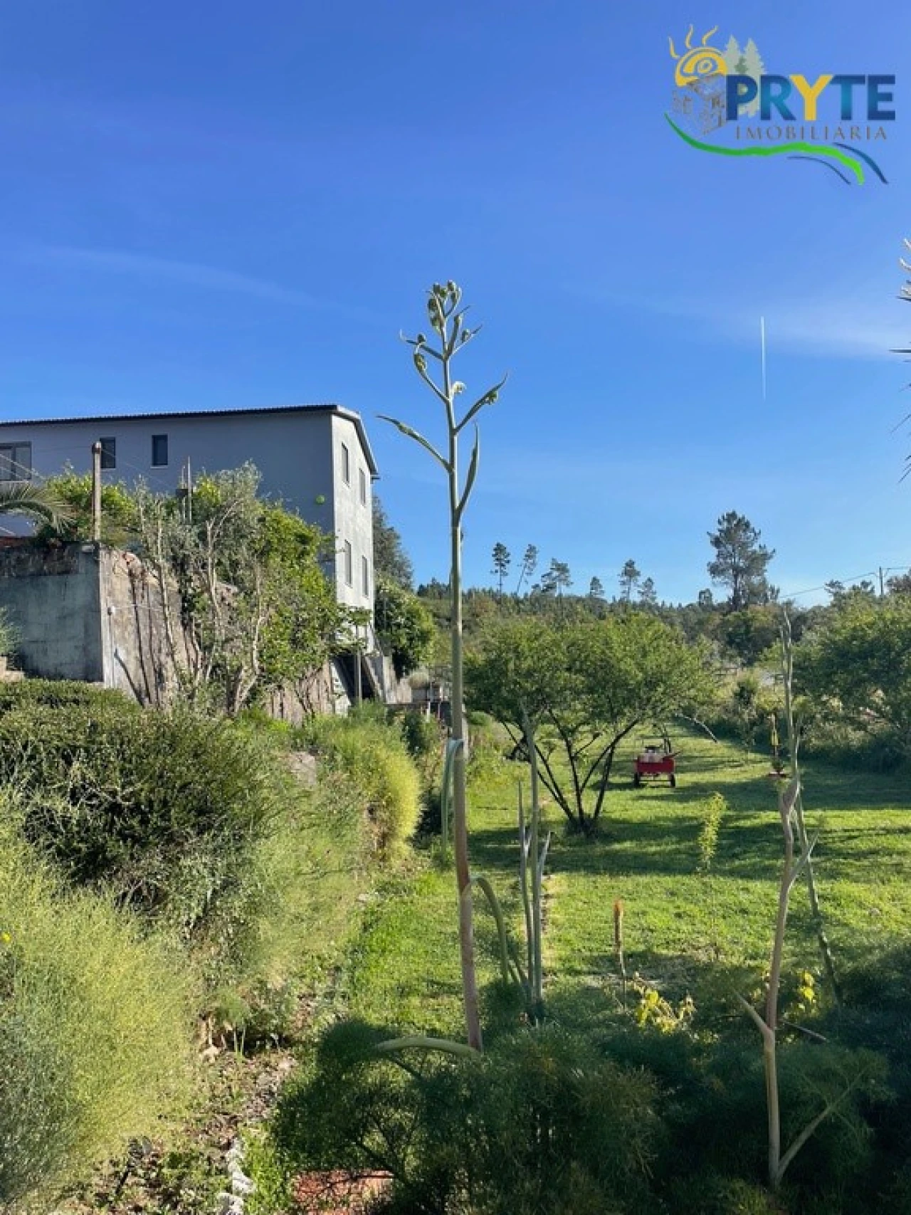 Quinta T5 para Venda em São João do Peso Foto 64