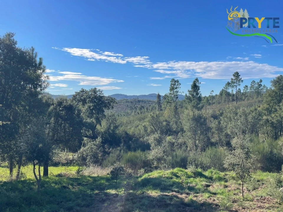 Quinta T5 para Venda em São João do Peso Foto 68