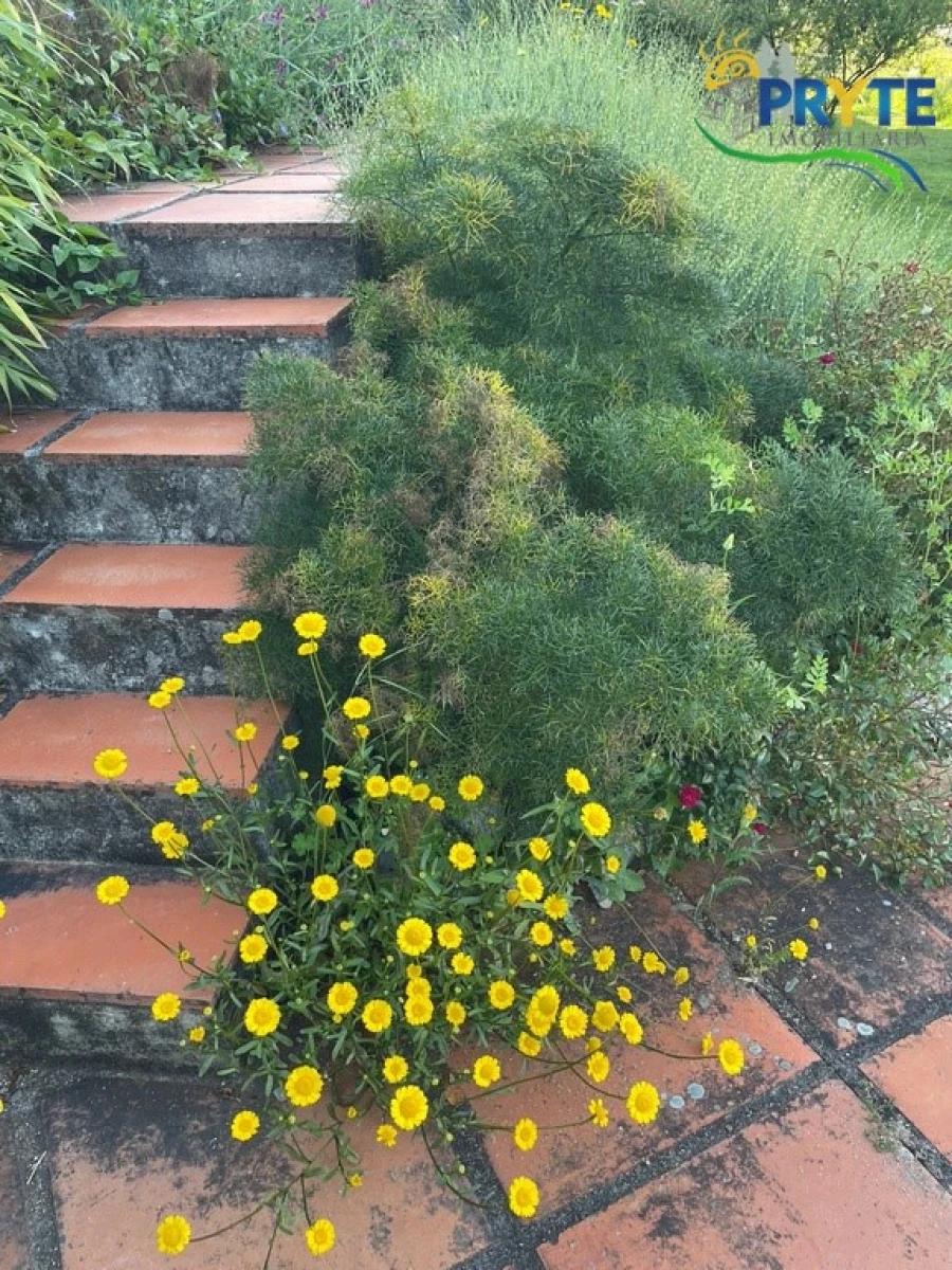Quinta T5 para Venda em São João do Peso Foto 61