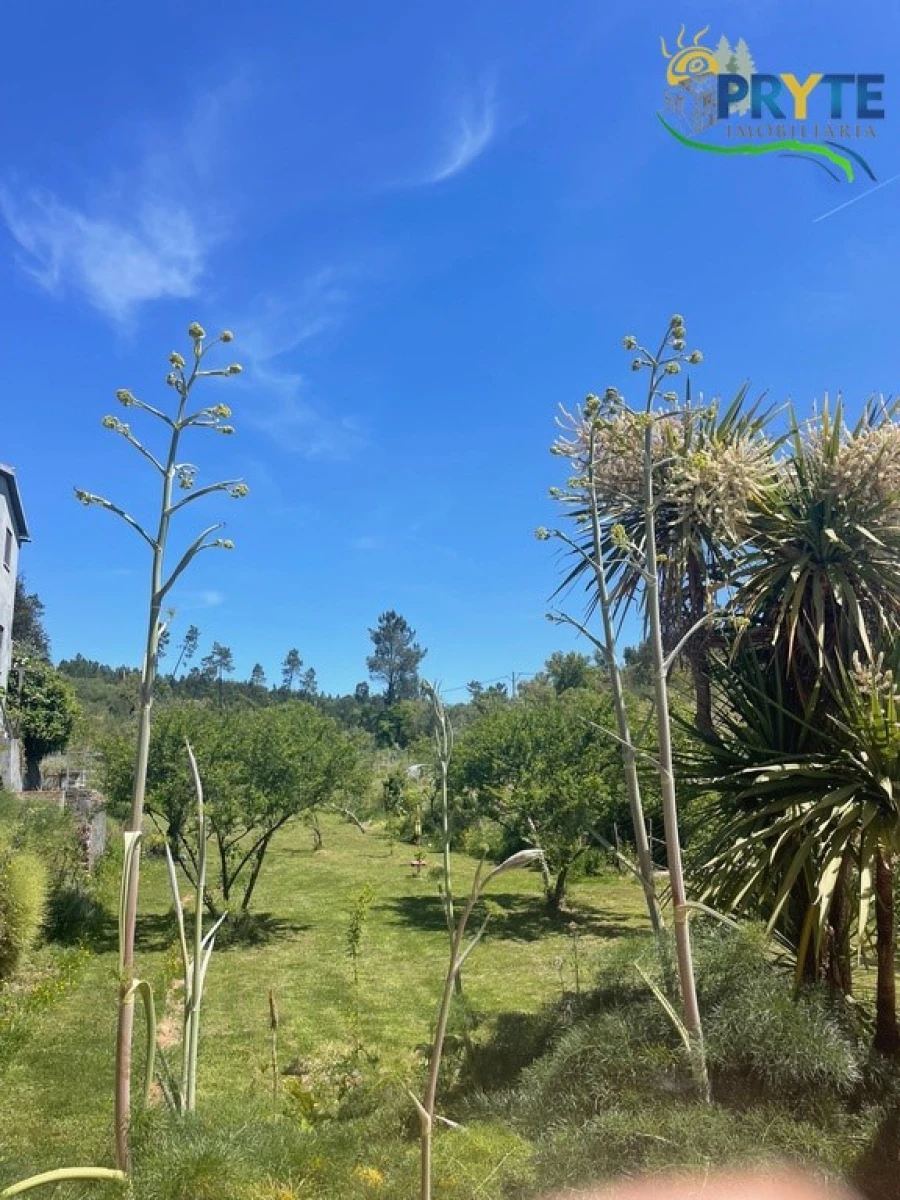 Quinta T5 para Venda em São João do Peso Foto 66