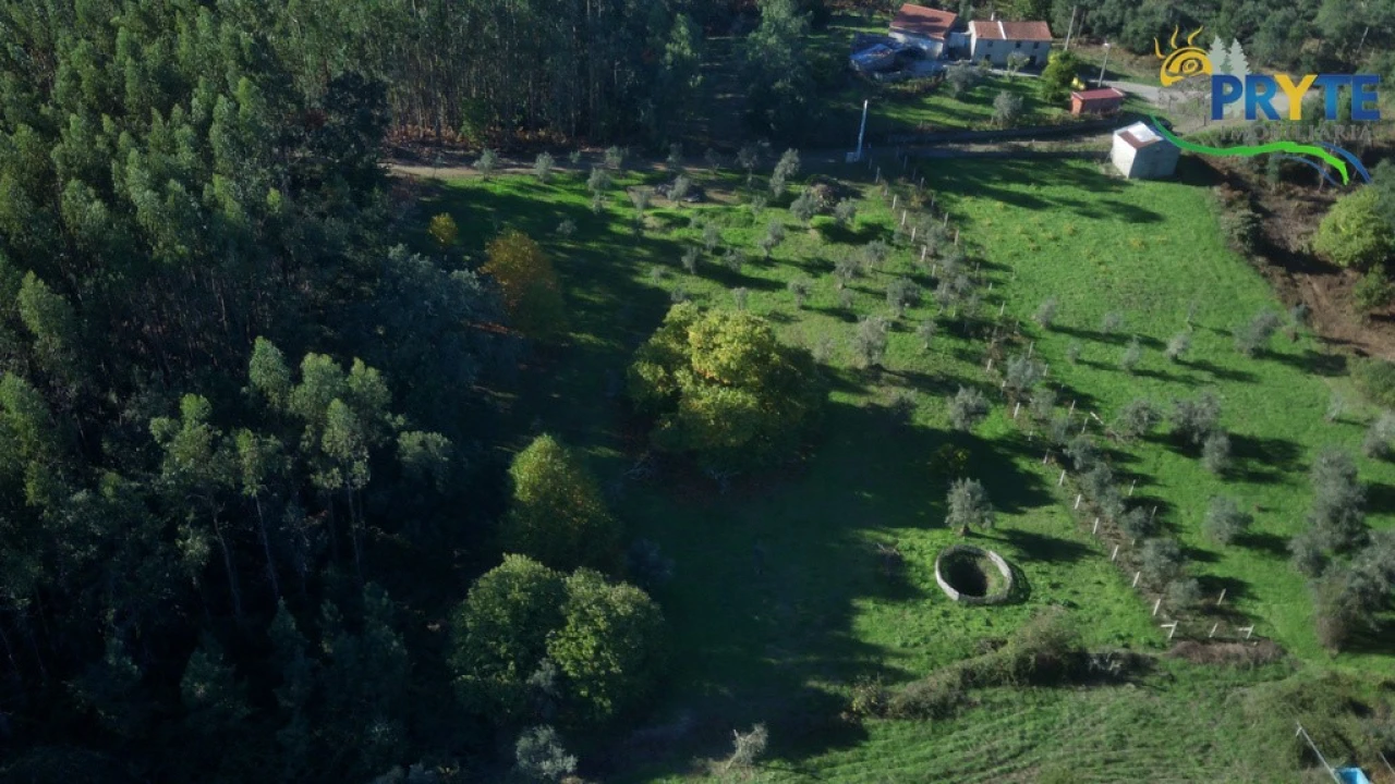 Terreno para Venda em Cabeçudo Foto 6