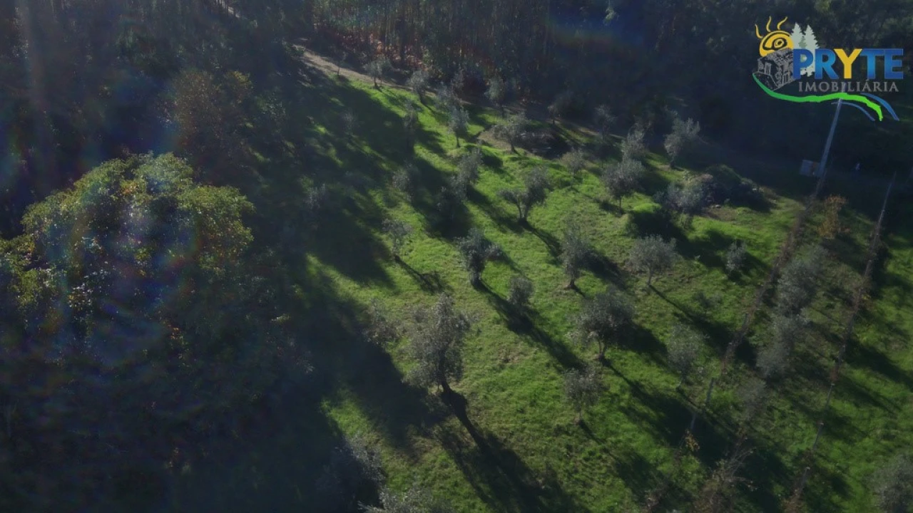 Terreno para Venda em Cabeçudo Foto 9