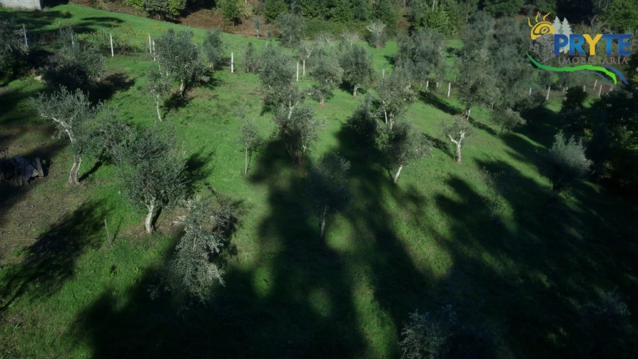 Terreno para Venda em Cabeçudo Foto 11