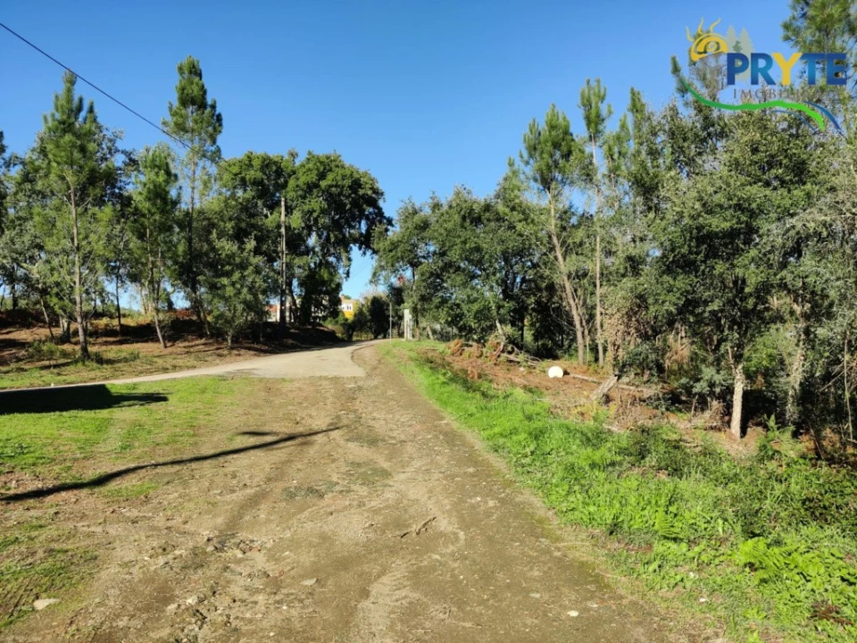 Terreno para Venda em Cabeçudo Foto 12