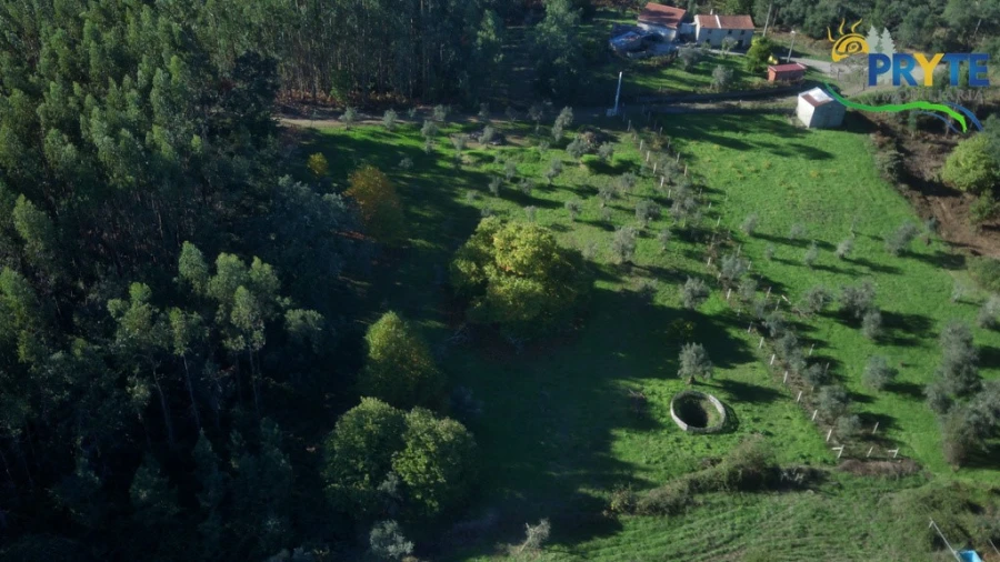 Terreno para Venda em Cabeçudo Foto 6