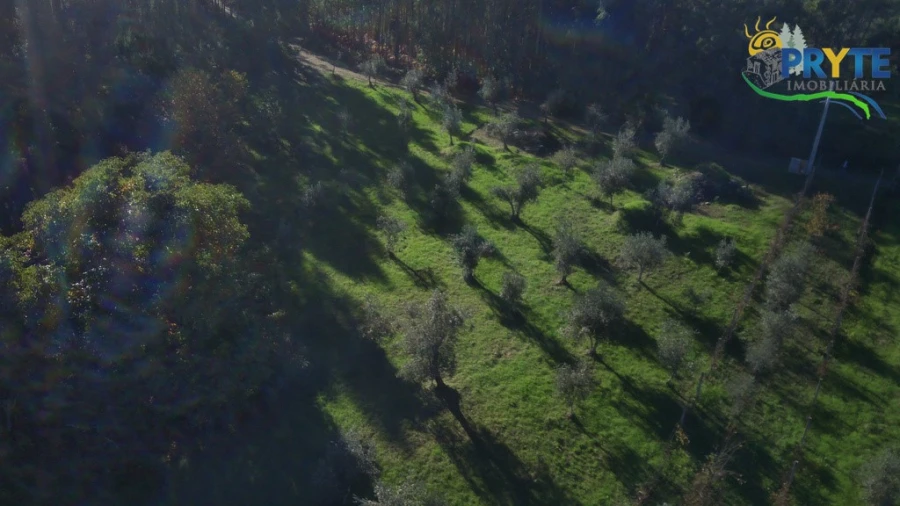 Terreno para Venda em Cabeçudo Foto 9