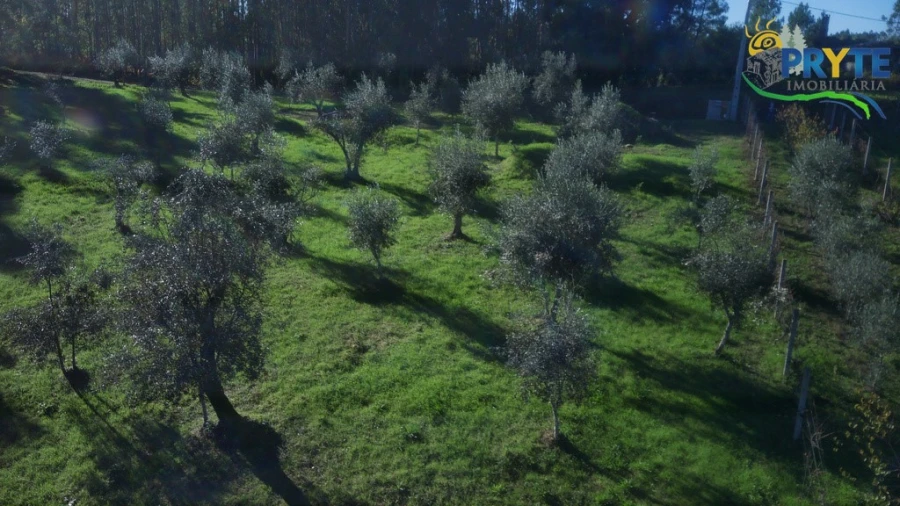 Terreno para Venda em Cabeçudo Foto 10