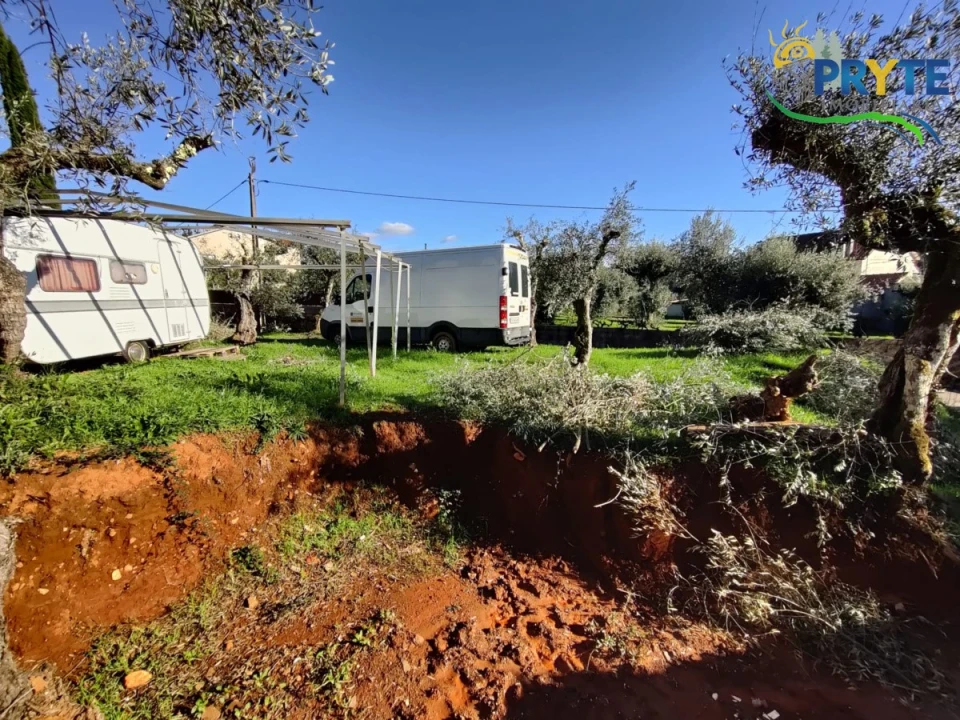 Terreno para Venda em Castelo Foto 5