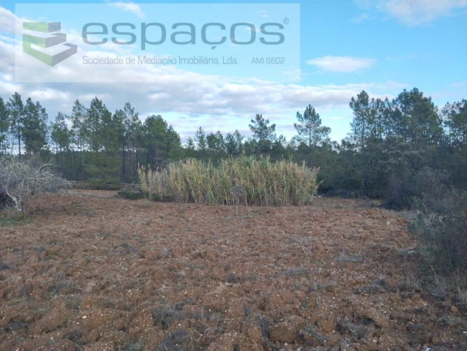 Terreno para Venda em Santo Andre das Tojeiras Foto 4