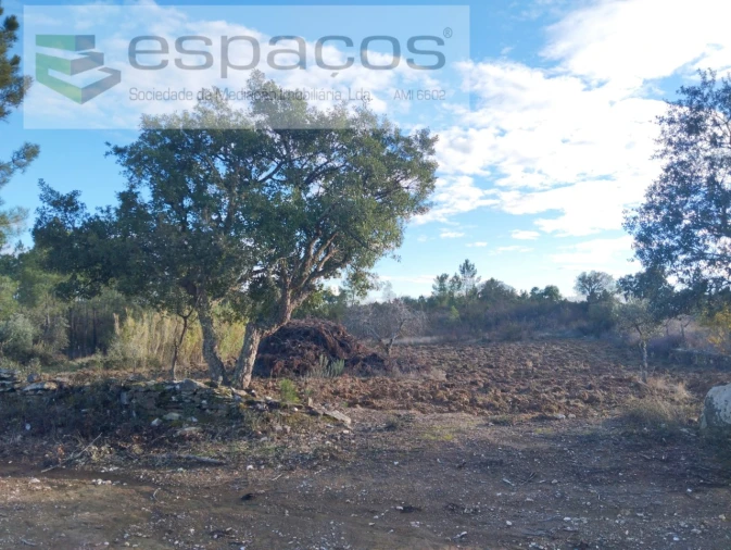 Terreno para Venda em Santo Andre das Tojeiras Foto 5
