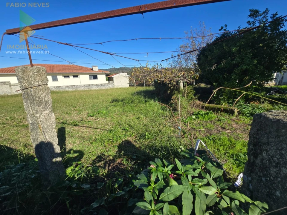 Terreno para Venda em Bela Foto 3