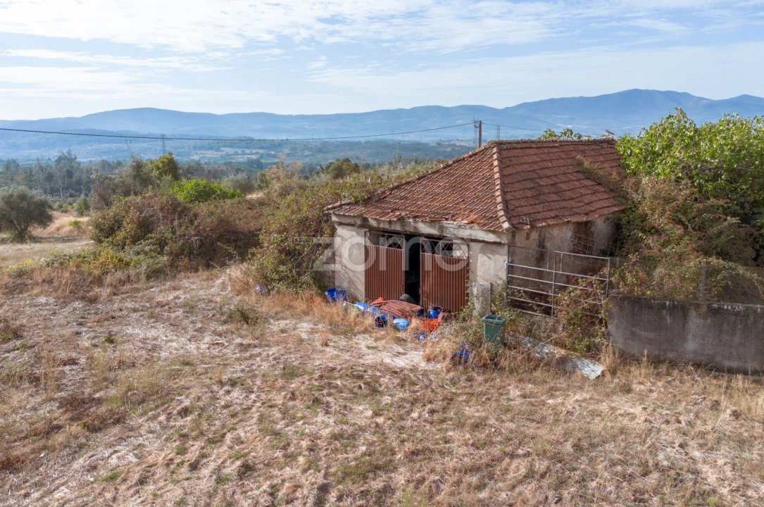 Terreno para Venda em Vale de Prazeres e Mata da Rainha Foto 1