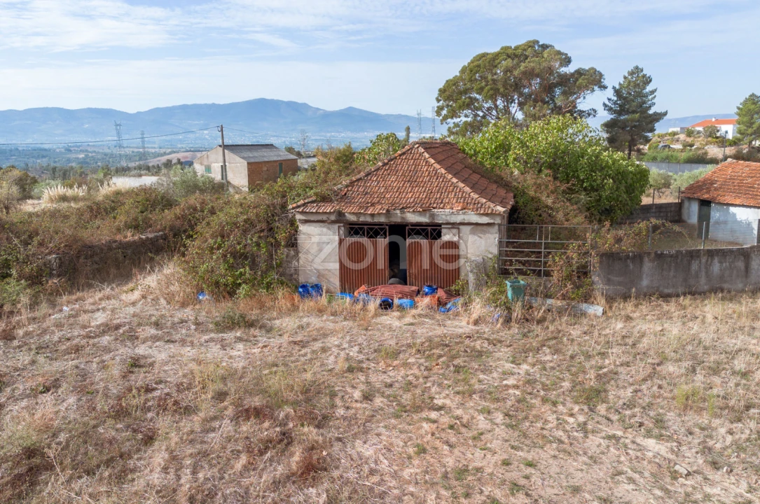 Terreno para Venda em Vale de Prazeres e Mata da Rainha Foto 5