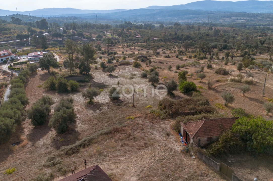 Terreno para Venda em Vale de Prazeres e Mata da Rainha Foto 3