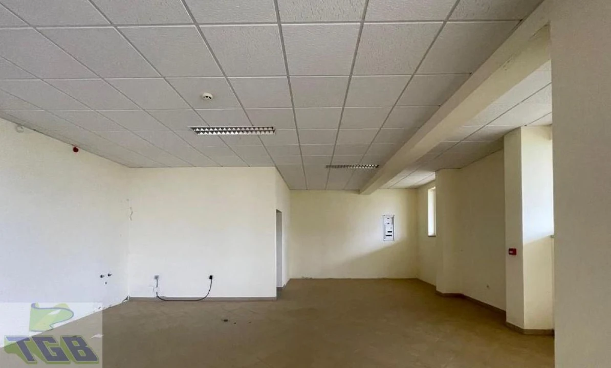 Negócio para Venda em Valongo dos Azeites Foto 11