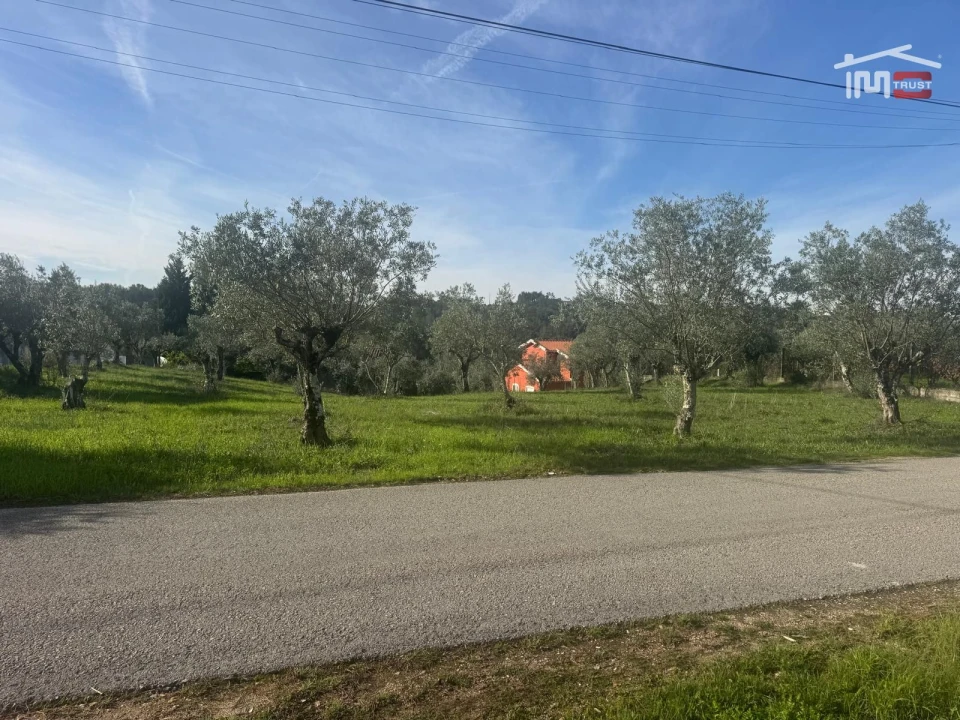 Terreno para Venda em Nossa Senhora da Piedade Foto 6